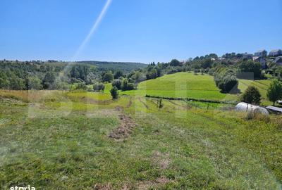 Spațiu comercial, în Feleacu - 4