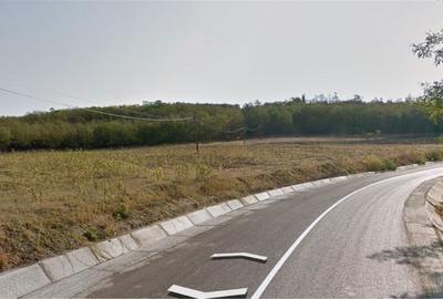 Spațiu comercial, în Zorleni - 1