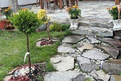 Vânzare Casă Sânpetru - 26