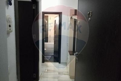 Apartament cu 1 camere decomandat, mobilat în 1 Decembrie 1918 - 10