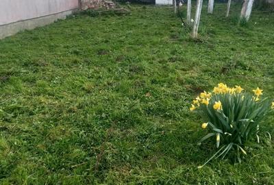 Casă cu 2 camere în Câlnic - 4