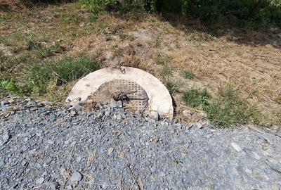 Casă cu 3 camere cu Canalizare în Săveni - 31