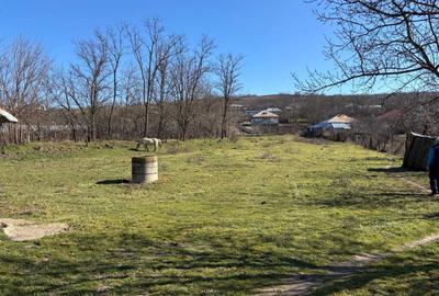 Casă în Mândrești - 2