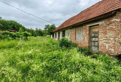 Teren de 18645 mp, în Sântămăria de Piatră - 4