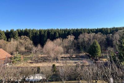 Teren de 1200 mp, în Săvădisla - 4