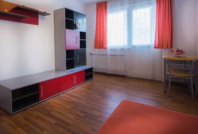 Apartament cu 2 camere semidecomandat în Dâmbu Pietros - 4