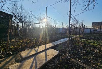 Casă cu 3 camere cu Teren 388 Mp în Dorobanților - 5