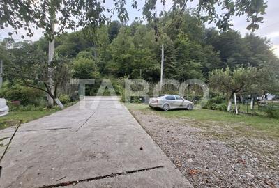 Spatiu de vanzare in Valea Macesului judel Valcea iesire la Lotru - 38