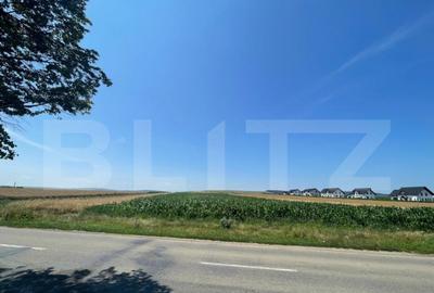 Teren Intravilan, 10300 mp, zona Mitocului