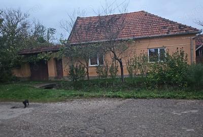 Casă cu 3 camere în Central