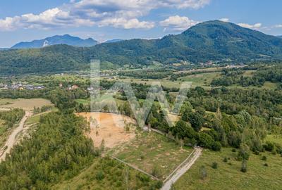 COMISION 0 %!!!!Teren cu priveliste remarcabila asupra orasului Rasnov - 16