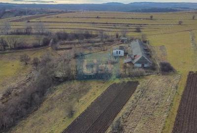 Teren de 7400 mp, în Păniceni - 4