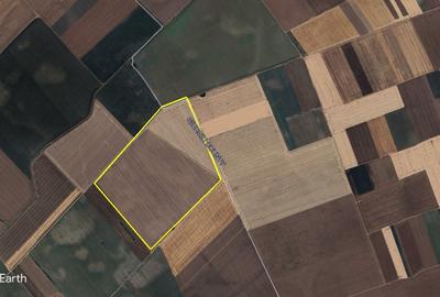 Teren 55 HA PUZ +  CU Construire - Proiect de 6.000 Apartamente - 2
