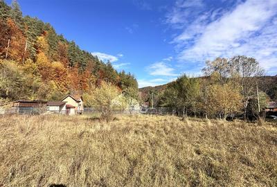 Teren Construcții intravilan de 4000 mp, în Brădet - 7