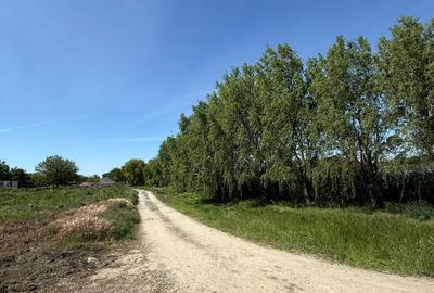 Teren Construcții intravilan de 1001 mp, în Ileana - 2