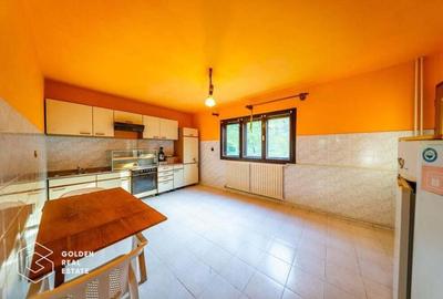 Casa de vacanta, localitatea Cladova, ideal pozitionata - 20