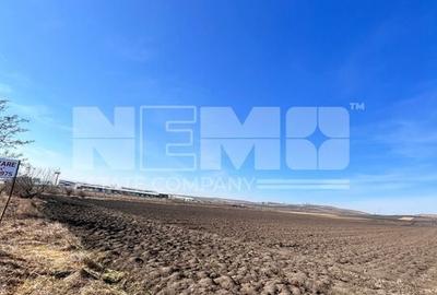 Vanzare I Teren I Suceava/Stroiesti I 100 ARI 2999 Euro/Ar - 4