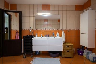 Proprietate speciala de 340mp de vanzare - 14