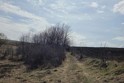 Teren de 11500 mp, în Mihai Viteazu - 3