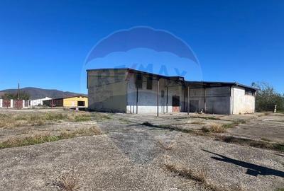 Spa?iu industrial depozit/produc?ie - 3