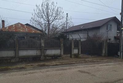 Casă cu Teren 1680 Mp în Bălteni - 3