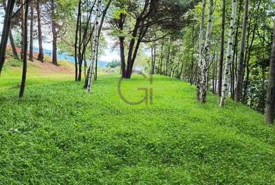 Teren intravilan superb in Cisnadioara pentru resedinta ta  privata de lux ! - 16