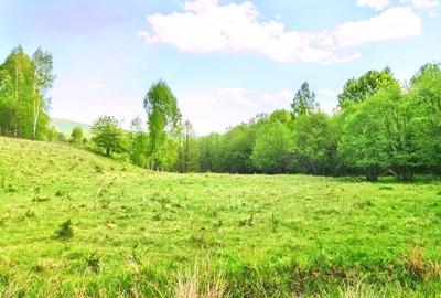 25.000 mp TEREN IDEAL AFACERE TURISM – AMENAJARE LAC DE PESCUIT, CIUCEA - CLUJ - 29