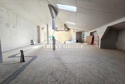 Casa Individuala  Gradina Icoanei - 253mp curte libera - 18