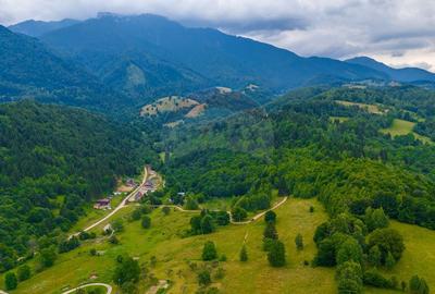 Teren Parcul National Bucegi/Str Glajarie Rau Mare/Panice... - 4