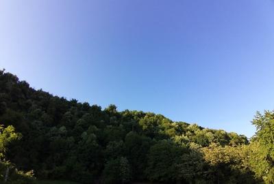 Teren Viilor , view superb ,ideal pentru casă! , 647 MP! - 9