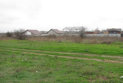 Cornetu - Crizantemelor, Stradal - 10