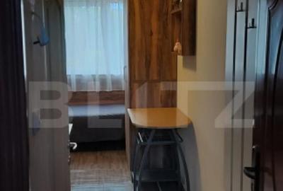 Garsoniera de vanzare, 13 mp, zona Careiului - 3