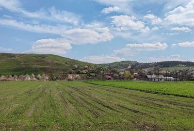 Spațiu comercial, în Gădălin - 3