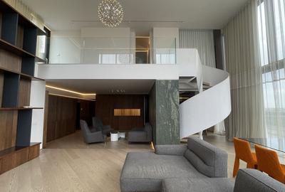 Floreasca | Penthouse | Duplex | Pescariu | 480mp | Gradina - 2