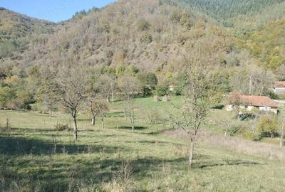 Teren de 2286 mp, în Vața de Sus - 9