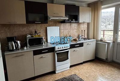 Casă cu 4 camere în Viișoara - 15