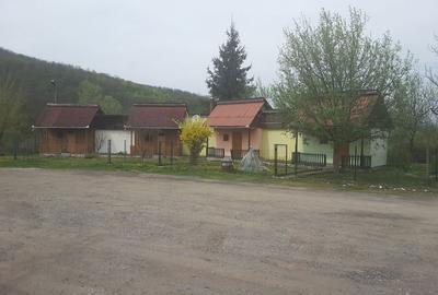 Spațiu comercial, de 515 mp, în Petriș - 4