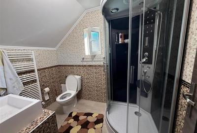 Casa individuala 5 camere 2 bai zona Terezian - 12