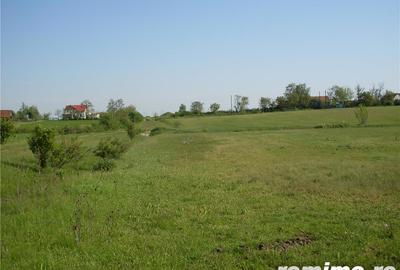 Teren de 55000 mp, în Salonta - 2