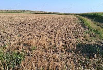 Teren de 28500 mp, în Central