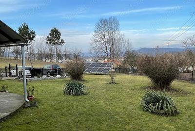 Casă cu 6 camere cu Teren 2000 Mp în Brad - 5