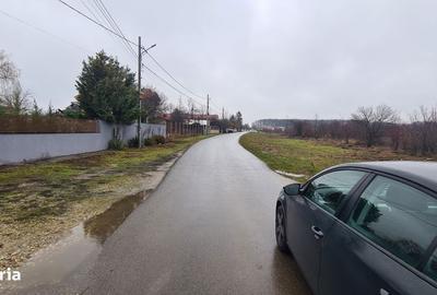 Spațiu comercial, în Corbeanca - 3