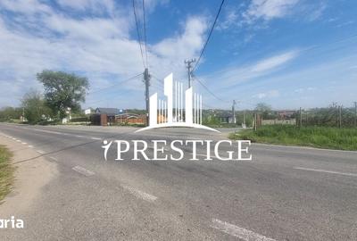 Teren de 2000 mp, în Trei Stejari - 18