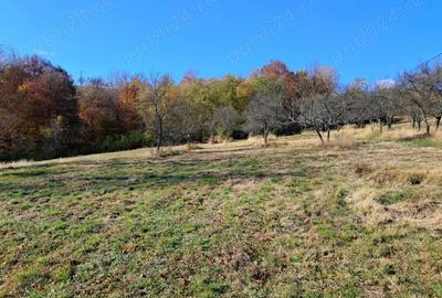 Casa Valea tarnei 8 hectare p mant - 3