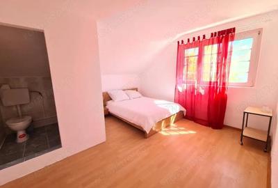 Vanzare proprietate multifunc?ionala, in Arcani, sat Sanate?ti - la DN 67 D - 5