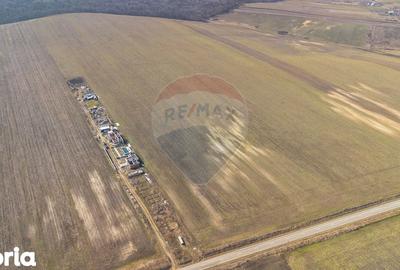 Teren de 13500 mp, în Voinești - 4