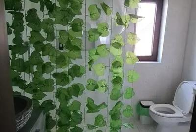 Casă cu 3 camere cu Teren 500 Mp în Central - 8