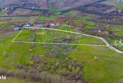 Spațiu comercial, în Valea Orlei - 5