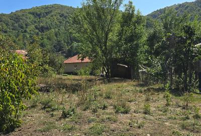Casă cu 3 camere în Aluniș - 6