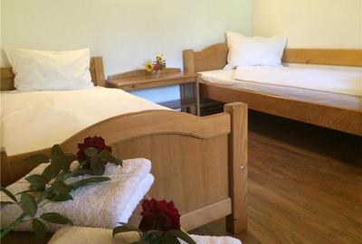 Casă cu 6 camere în Plopul - 9